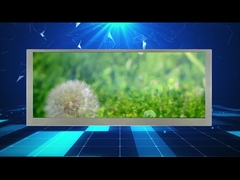 車のモニターのための10.3のインチ1280*480の決断ワイドスクリーンLCDの表示